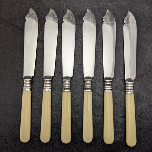 British antique resin handle silver plate fish cutlery 6x2 & server set in wooden box
