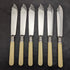 British antique resin handle silver plate fish cutlery 6x2 & server set in wooden box