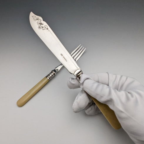 British antique resin handle silver plate fish cutlery 6x2 & server set in wooden box