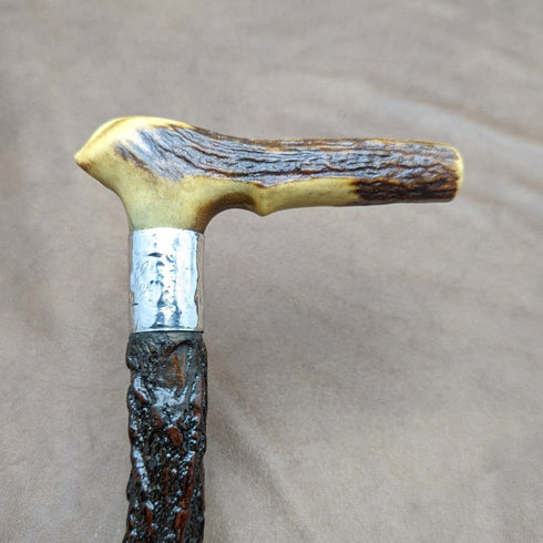 1908年 英国アンティーク 紳士用ステッキ 杖 鹿角クラッチハンドル 85cm