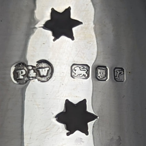 1972 British Vintage Cut Glass Seasoning Container Sterling Silver Lid 320g