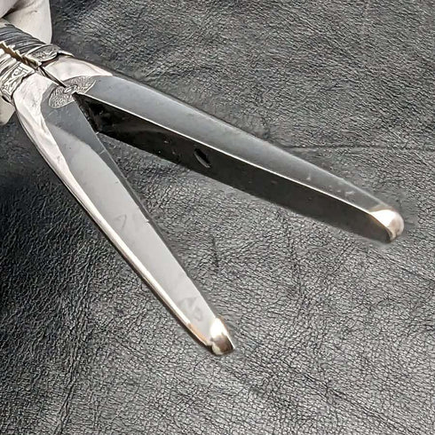 Circa 1892 British antique sterling silver handle accessory set in case