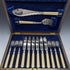 British antique resin handle silver plate fish cutlery 6x2 & server set in wooden box