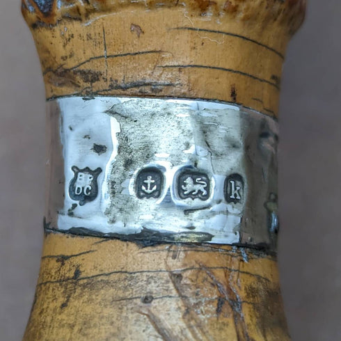 1909年 英国アンティーク 紳士用ステッキ 杖 極太バンブーシャフト 84cm