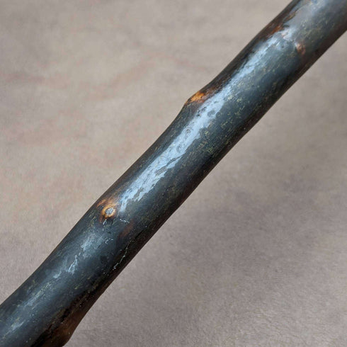 1901 British Antique Men's Walking Stick Horn L-handle 81cm