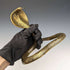 Antique Cobra Shaped Brass Pocket Watch Holder Display Stand Height 15cm
