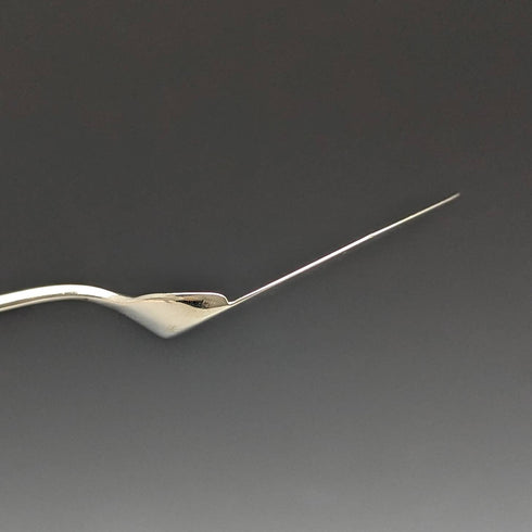 1890年頃 英国アンティーク シルバープレート製 ジャムスプーンペア ケース入