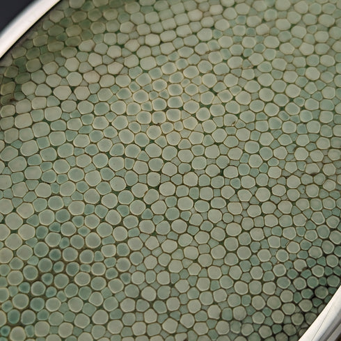 1927年 英国ヴィンテージ 純銀&レザー ハンドル ブラシ 4点セット Collet and Anderson