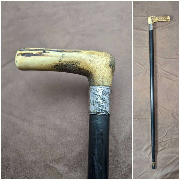 1894 British Antique Men's Walking Stick Deer Antlers Clutch Handle Thick Shaft 80cm