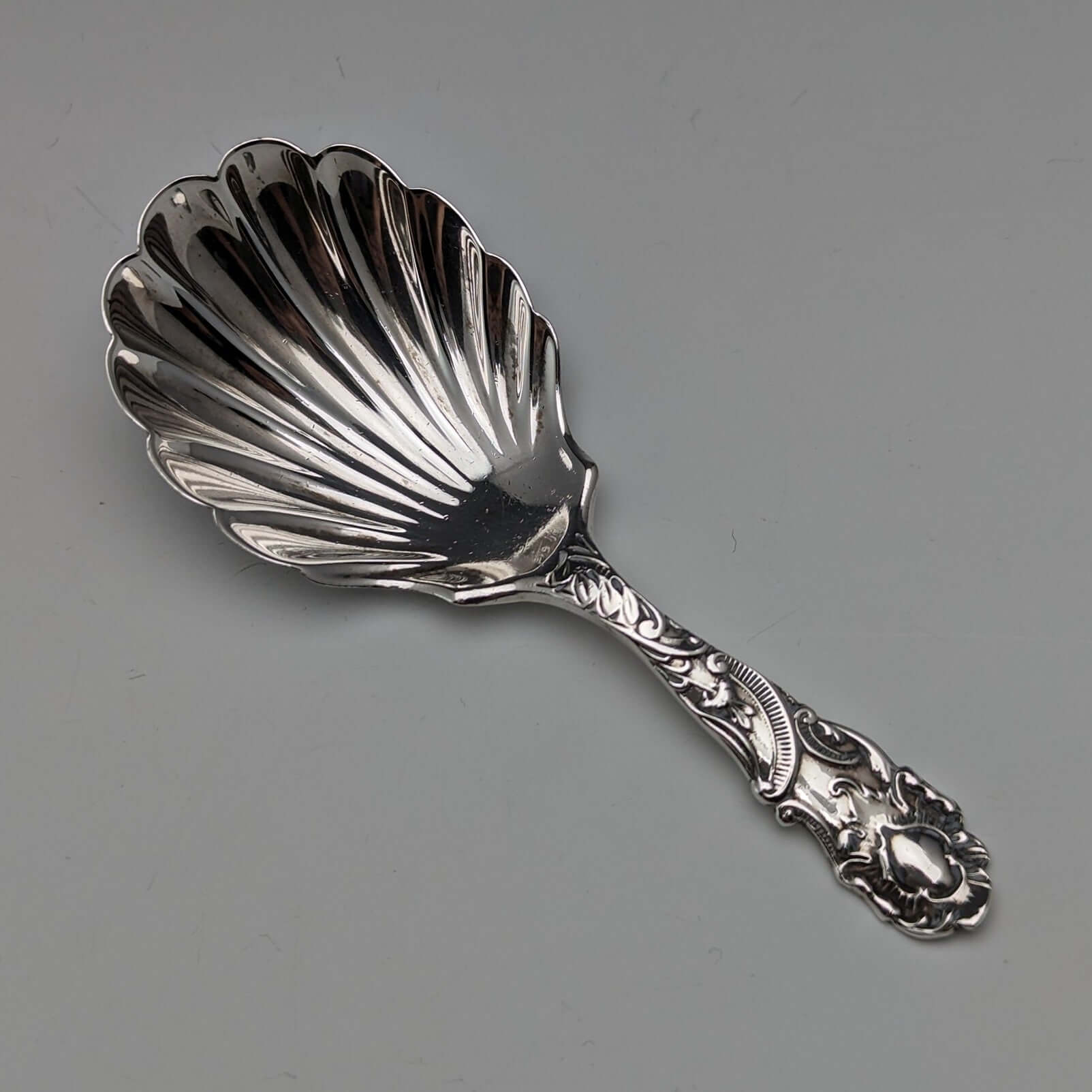 1899年 英国アンティーク 純銀製 ティーキャディースプーン George 